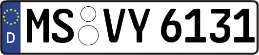 MS-VY6131