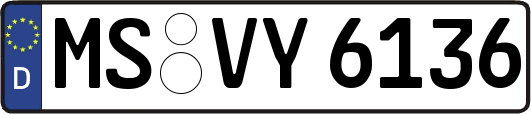 MS-VY6136