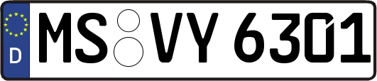 MS-VY6301