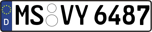MS-VY6487