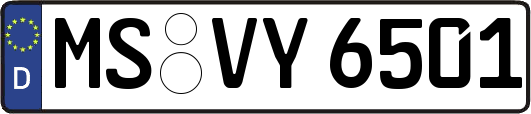 MS-VY6501
