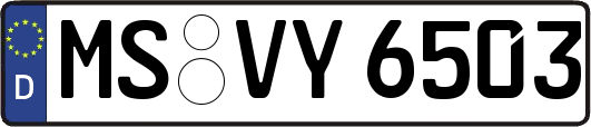 MS-VY6503