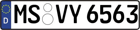 MS-VY6563