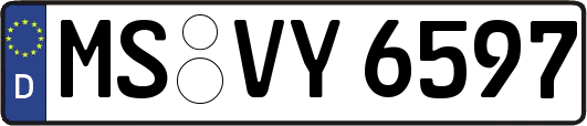 MS-VY6597