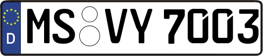 MS-VY7003