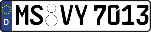 MS-VY7013