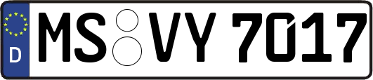 MS-VY7017