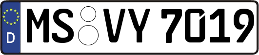 MS-VY7019
