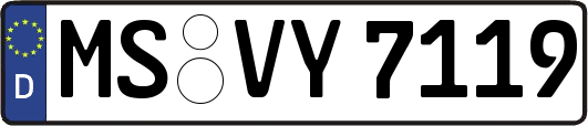 MS-VY7119