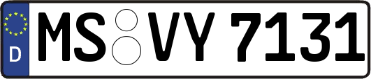 MS-VY7131