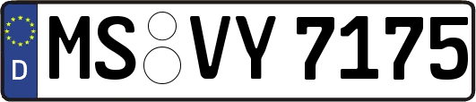 MS-VY7175
