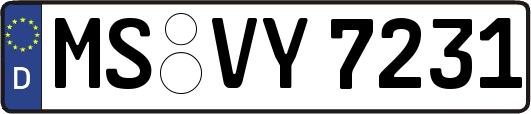 MS-VY7231