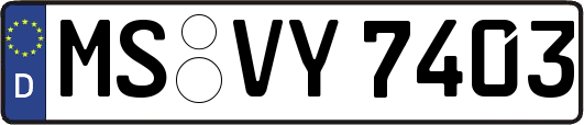 MS-VY7403