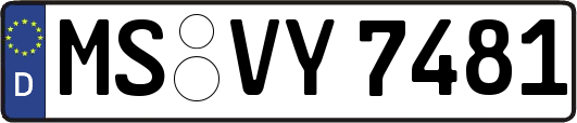 MS-VY7481