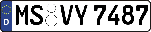 MS-VY7487