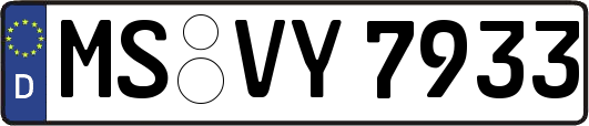 MS-VY7933