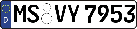MS-VY7953