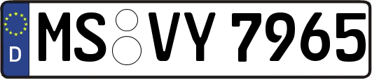 MS-VY7965
