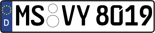 MS-VY8019