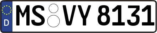 MS-VY8131