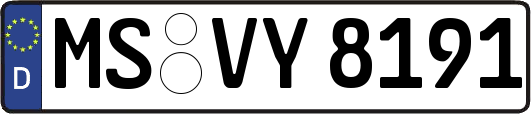 MS-VY8191