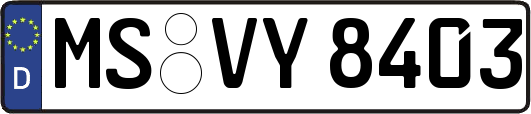 MS-VY8403