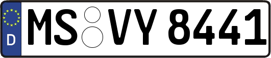 MS-VY8441