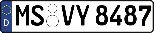 MS-VY8487