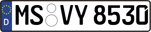 MS-VY8530