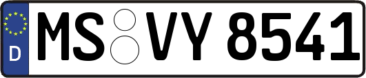 MS-VY8541
