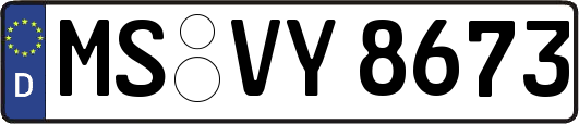 MS-VY8673