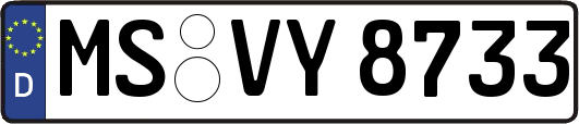 MS-VY8733