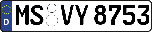 MS-VY8753