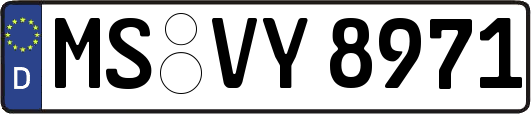 MS-VY8971
