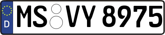 MS-VY8975