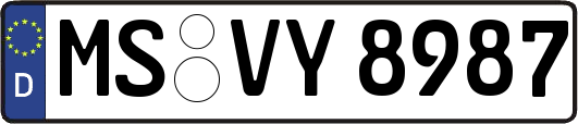 MS-VY8987
