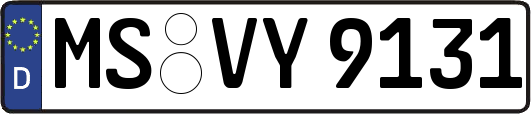 MS-VY9131