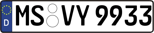 MS-VY9933