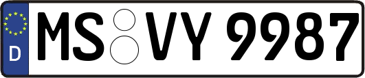 MS-VY9987