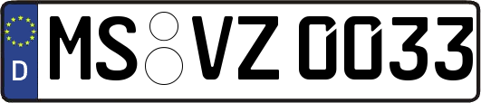 MS-VZ0033