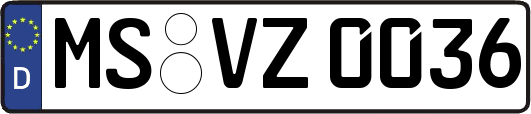 MS-VZ0036
