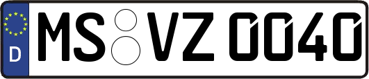 MS-VZ0040