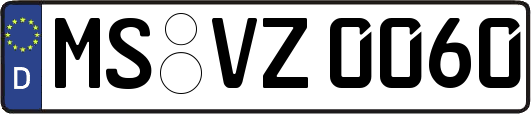 MS-VZ0060