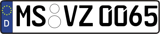MS-VZ0065