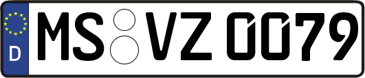 MS-VZ0079