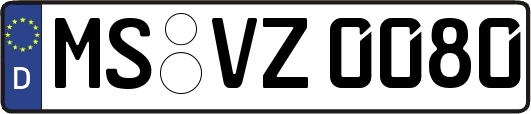MS-VZ0080