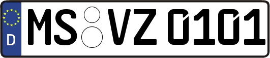 MS-VZ0101