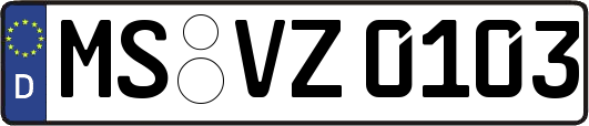 MS-VZ0103
