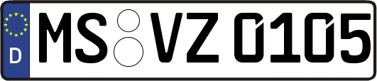 MS-VZ0105