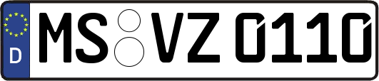 MS-VZ0110